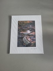 Photography Print By John T Slonina Matted 8×10 Picture Of A Country Stream
