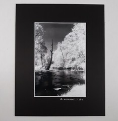Black Mat Photo Landscape Park Infrared Photography Limited Ed 1/2 Signed Print