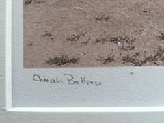 BRUCE BLUM SIGNED COLOR Photo Print (13″X 18 «)-«Church Buttress»