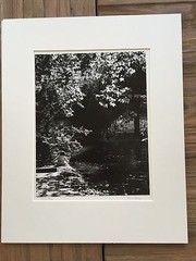 BRUCE BLUM SIGNED B&W Photo Print (10 «X 13») «Girl in Park «
