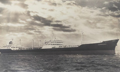 Unique Large Photo Ocean Liner Messageries Maritimes Ship Chenonceaux Indochina