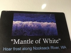 Mantle of White Ron Mellott matted photography Hoar Frost Nooksack River, Wa