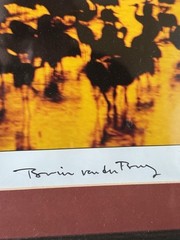 Sandhill Crane Photograph Signed