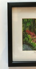 Signed Claude Taylor Monet’s Garden France Framed Matted Photograph 11×9