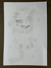 🎈RARE! Nobuyoshi Araki – 1997 Tokyo Comedy, Old Authentic Drawing Offset Print