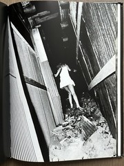 🎈MEGA RARE SIGNED! Daido Moriyama – Retrospective Since 1965, Limited Ed, Araki