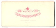 Stereo Photography Alois Beer, Klagenfurt, View Salzburg, Waterfall Floor