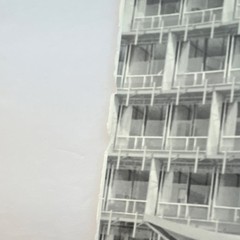 Vintage Black & White Modern Architecture Documentary Style Portrait Photograph