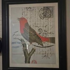 Set of 2 Framed Bird Pictures Prints 13″ X 15″