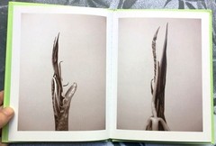 RON VAN DONGEN: One Picture Book Ltd Ed SIGNED w Photo ‘Arisaema Angustatum’ NEW