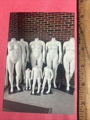 “MANNEQUIN FAMILY” Art Photography by Scott Mitchell “STUDY of BODY TYPES” ART