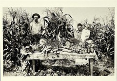 Wisconsin – Menominee River Boom Co. Garden 1895 Fotofolio Art Print Card 4”x6”