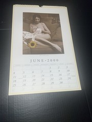 The Ladies Of Rylstone Calendar NUDE Women’s Institute June 2000-Dec 2001