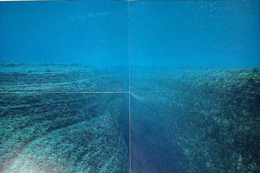Noguchi Rika (b. 1971) Art Announcement Card / Fold Out Poster Print 2005