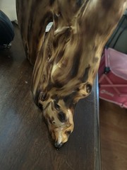 Beautiful Natural Cypress Knee Sculpture