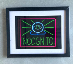 PATRICK MARTINEZ 2025 INCOGNITO Framed Wall Art 5×7 Print Photograph Neon RARE