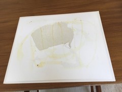 Vintage Art Gore Photograph – Original Print – Artist Signed