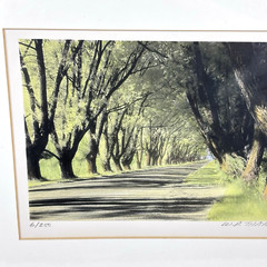 William Thayer Shady Lane Signed Art Photo Hand Colored Matted 6/250 in Plastic