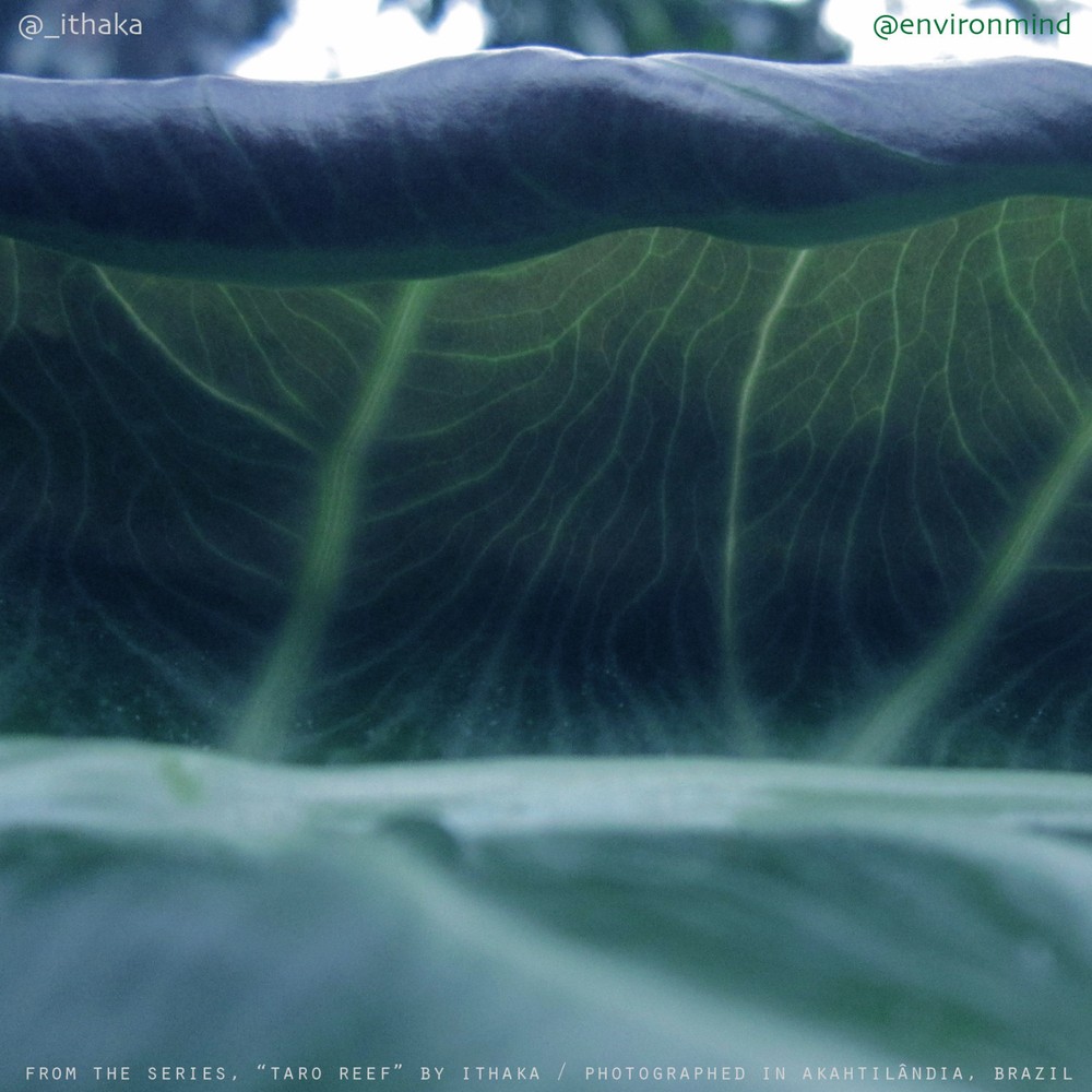The Wave Gallery Print