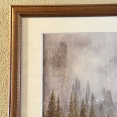 Rodney Lough The Little Rock That Could Yosemite Framed Fine Art Photograph MINT