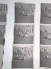 NEWLY FOUND! Hendrickson PHOTO Contact Sheet Proof & Negatives VICTORIAN COUPLES