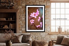 Floral Photography Print – Picture of Pink Peach Blossoms in Oklahoma
