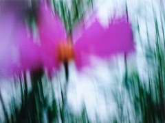 Jean Claude Chastaing – Original Photo – Digital – Abstraction 105