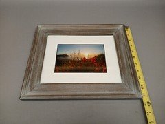 Tom Hart Flowers Beach Photograph Ocean Framed Art Decor