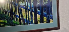 Framed and Matted High Quality Photograph «Fence Over A Cove»