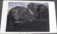 Great Photographic Print – MOUNTED ON ART BOARD – UNIQUE IMAGE – GDC