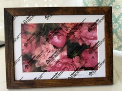 FRAMED ORIGINAL PHOTO FLOWER PINK PEONIES SIGNED 5×7
