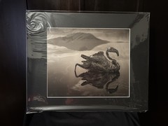 Petrified Reflected Flamingo, Lake Natron. Photogravure By Nick Brandt