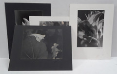 Original Signed Photos on Board Lot of 4 11 x 14 Black White Board Various