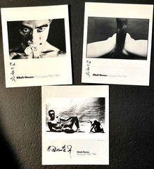 RARE All 3 Versions «Eikoh Hosoe Photographs 1960-80» 1982 Exhibition Catalogues