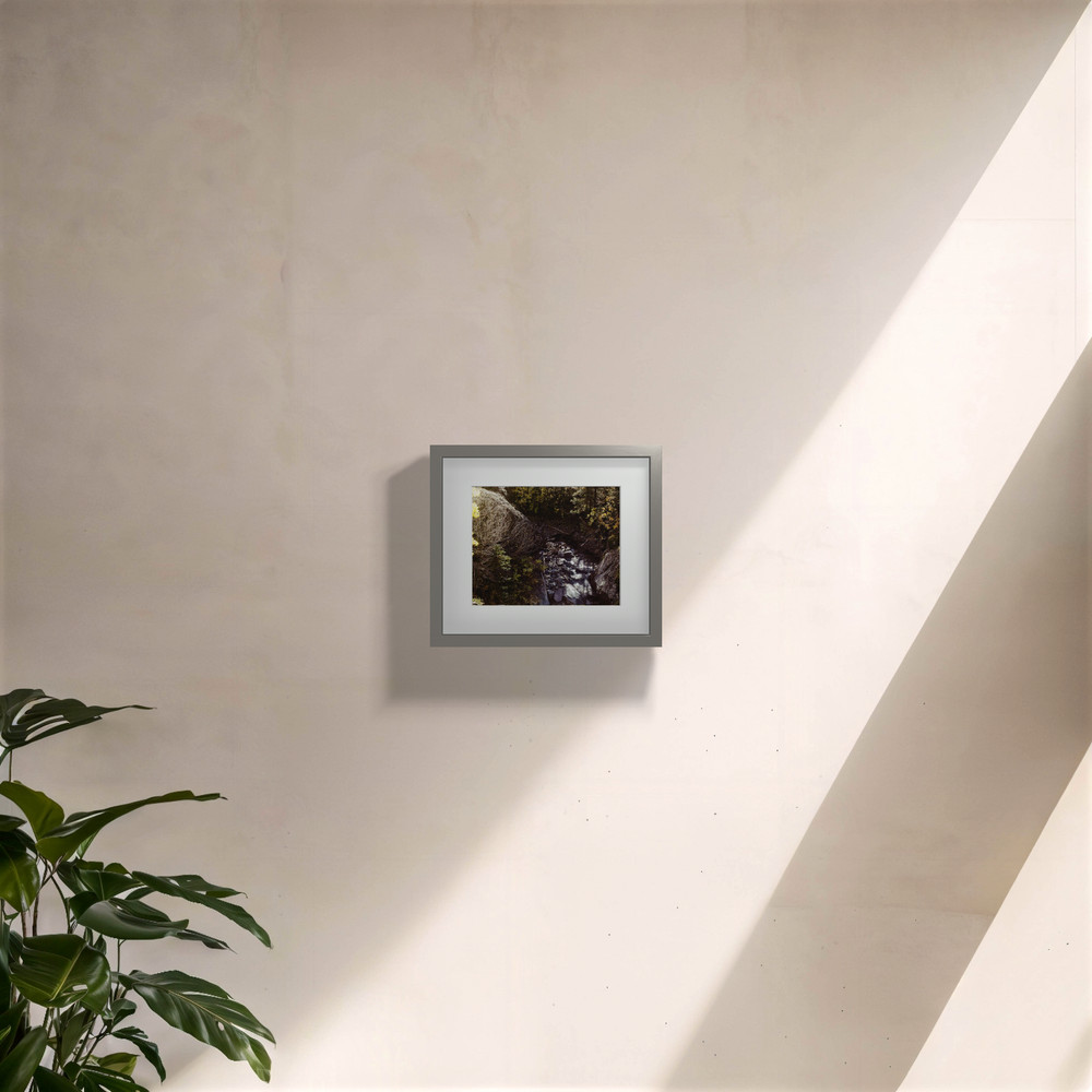 Flutter – Fine Art Photography Print 8×10,16×20,24×30
