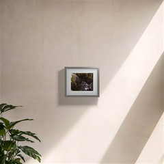 Flutter – Fine Art Photography Print 8×10,16×20,24×30