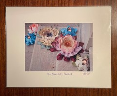 Original photographic print «Two Paper Lotus Lanterns» by Michael Blumenstock