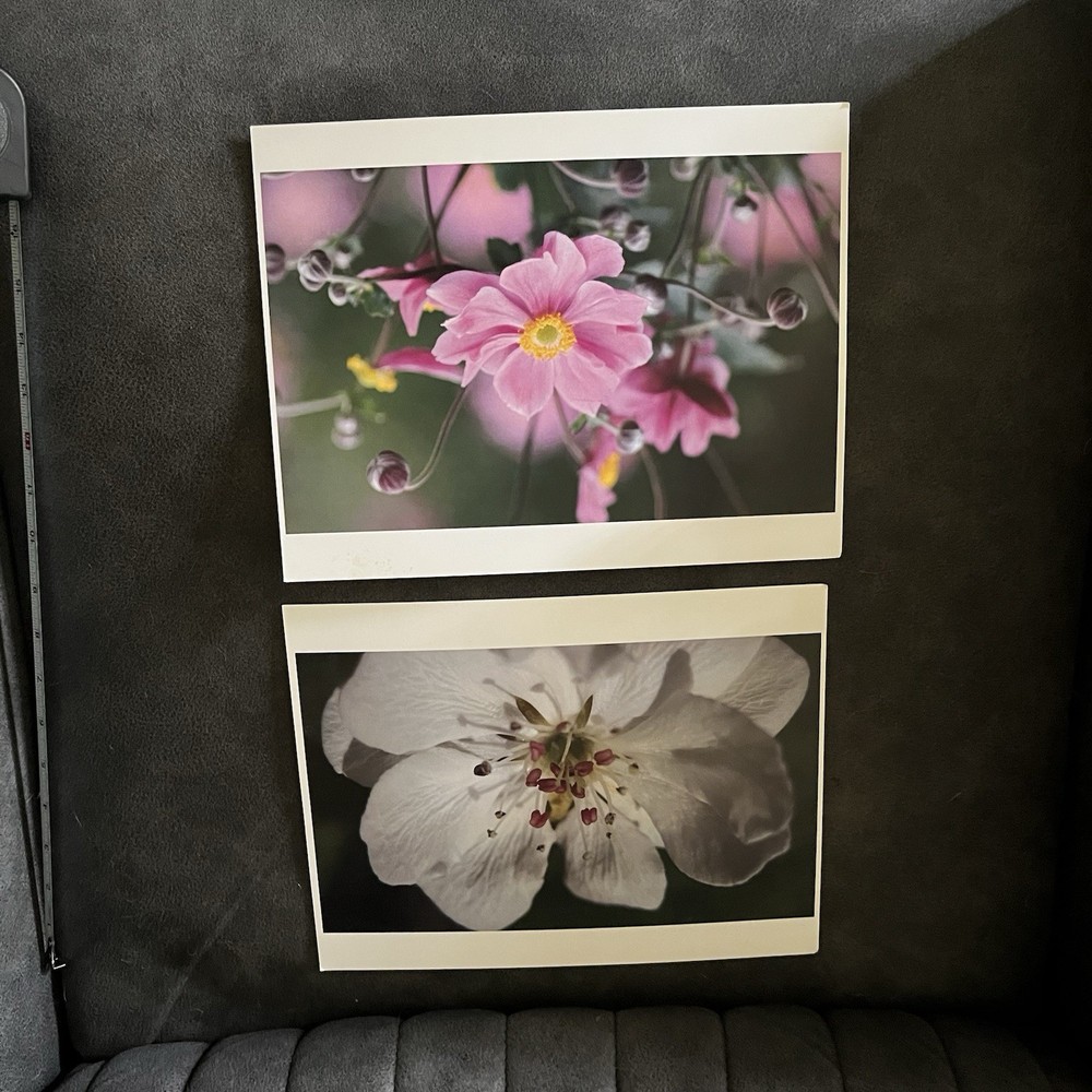 Floral Photograph Artwork Lot of 2