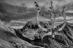 «Tibet 1980s: A Photographer’s Journey» Paperback Photo Book by Toutain-Dorbec
