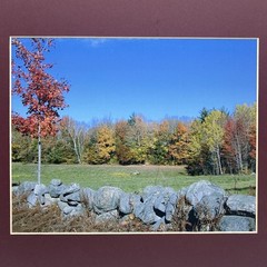 Matted Landscape Photo Print 11 X 14 Wall Art Gallery Decor