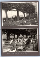 Bamberg 1954 – People in Cafe Beer Garden – 1950s – Photo 9x13cm