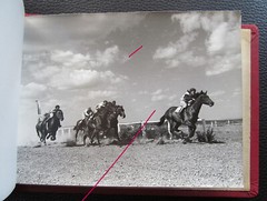 Bulgaria? 1958 15 Photos Equestrian Horse Stud Breeding Racing Jockey