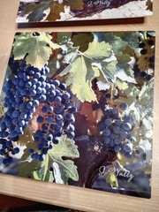 Lot of 4 Fine Art Photography On Metal – Signed RETAILS $175 EA – Vineyard Theme