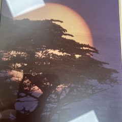 Framed Tree Sunset Signed By J Simonelli 8”x10” Wall Art Print