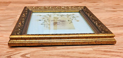 Lot 2 Vintage Gold Framed Black White Portrait Photographs Hand Painted Flowers
