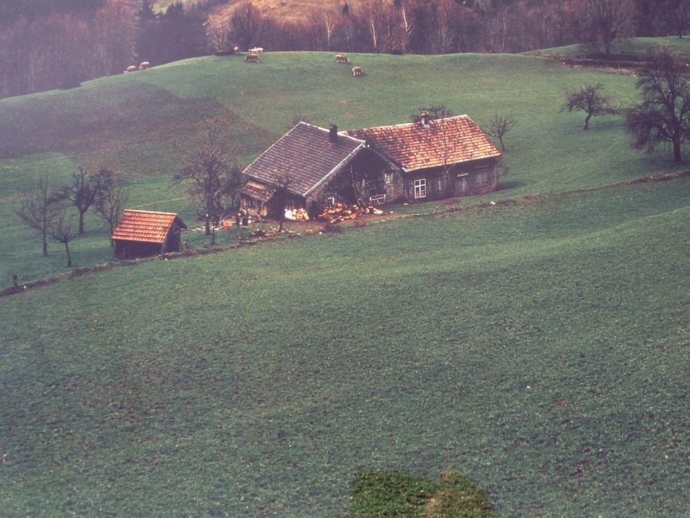 Early 1980’S Color Photograph Rural Landscape With Farmhouse Nancy Brown