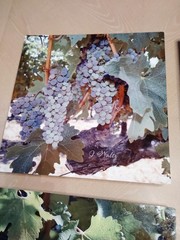 Lot of 4 Fine Art Photography On Metal – Signed RETAILS $175 EA – Vineyard Theme