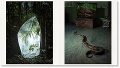 Cristina de Middel BOA NOITE POVO 1st Ed Photo Book Bruno Morais New