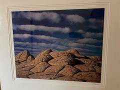 Michael Fatali «Sleeping Turtles» Authentic Framed Hand-Signed Photograph 1999