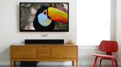 Toucan in the Wild, High Resolution Image, Many Formats, TV Art
